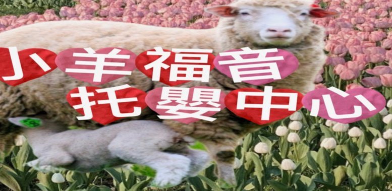 羊小咩怎么更改手机号
