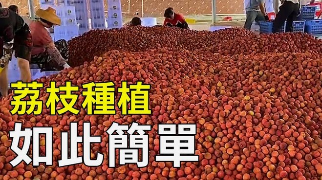便荔卡提现：多久到？
