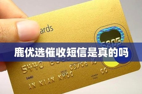 鹿优选贷款是否正规？风险分析