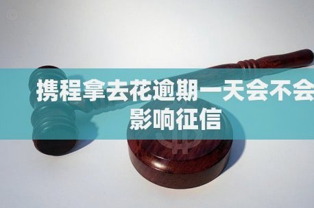 携程拿去花会不会起诉