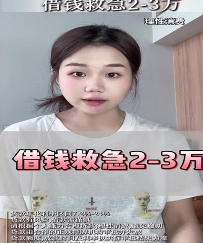海鸥借款平台还款流程详解