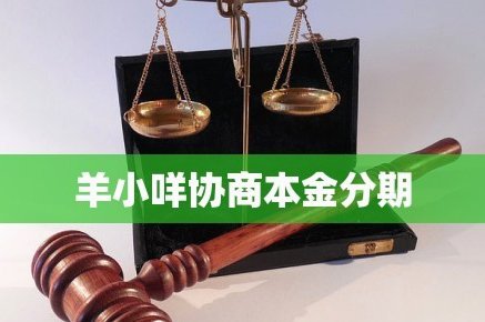 羊小咩怎么协商分24期可以吗