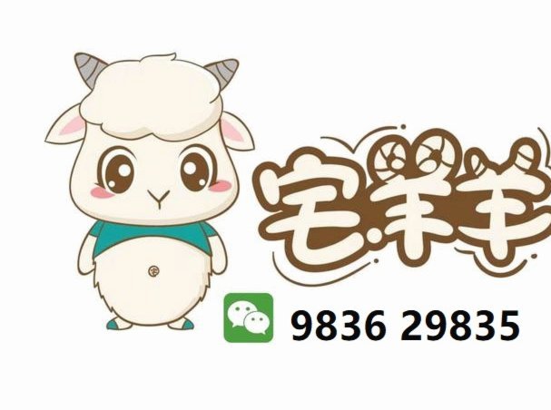 羊小咩如何实现品牌价值最大化