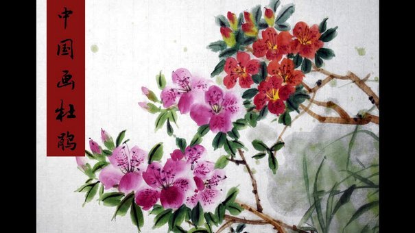 警惕！这些方法可能让你陷入“套花呗”陷阱