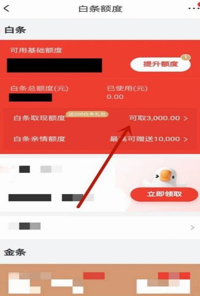 白条的额度怎么套出来