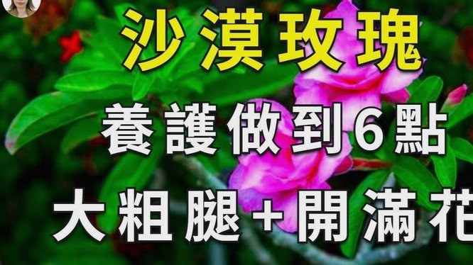 提前结清的艺术：拿去花的智慧策略