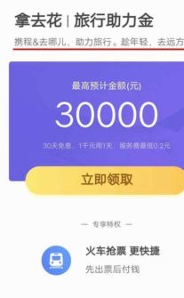 去哪网上的拿去花额度怎么套出来