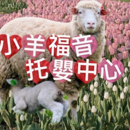 羊小咩的额度在哪里