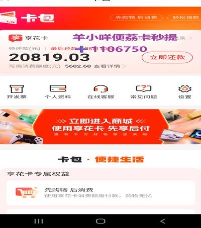 羊小咩额度套路：风险警示