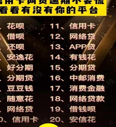 100个网贷平台