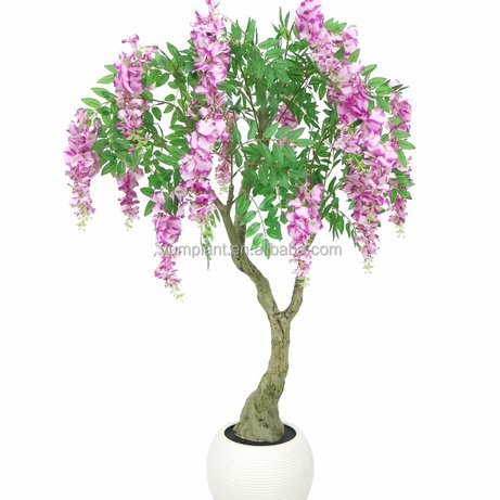 羊小咩享花卡：额度变身，消费更灵活