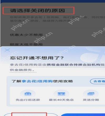 携程拿去花怎么支付酒店