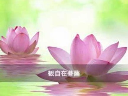 花呗兑换新价值探寻