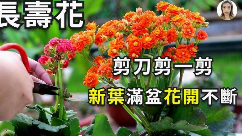 拿去花取现要多久 出来还款