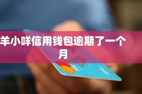 羊小咩付款显示冻结怎么回事