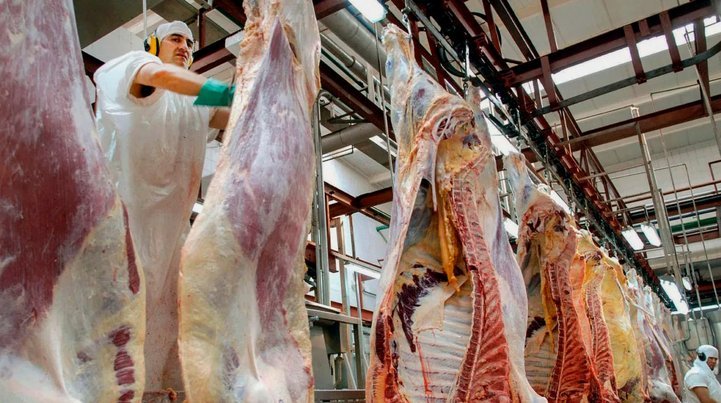 阿根廷取消禽肉牛肉出口关税