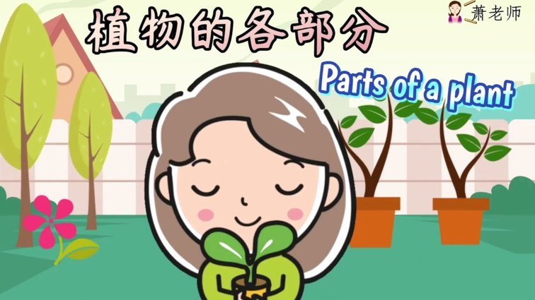 得物的佳物分期可以套出来吗