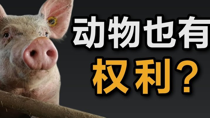 得物的佳物分期可以套出来吗