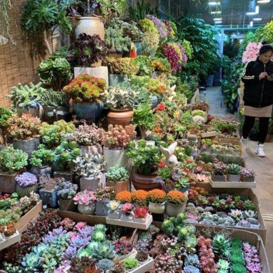 花呗“套现”：商家与消费者的警醒