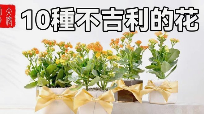 花呗去哪儿了？新模式亮相