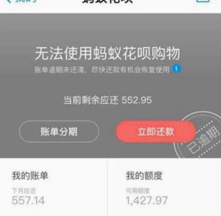 花呗现象：消费心理与社会经济影响分析