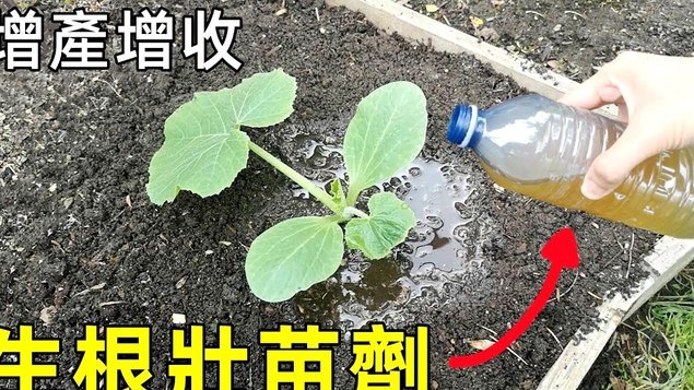 携程拿去花为什么用不了