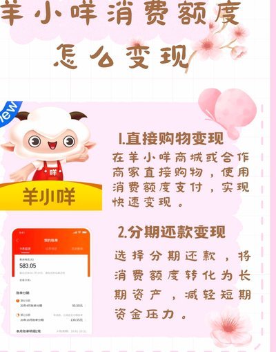 羊小咩额度开通指南