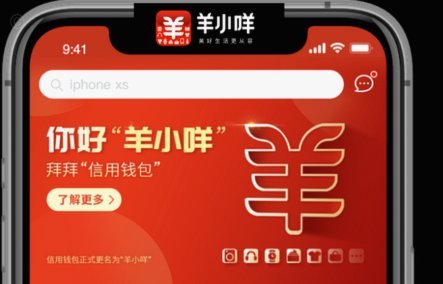 羊小咩额度变现全攻略：平台如何实现价值转换