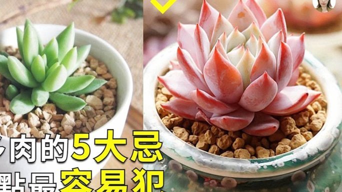 怎么套拿去花的钱