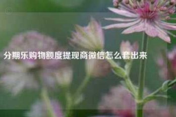 分期乐余额怎么提现