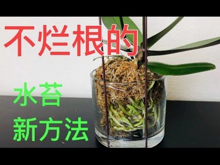 携程里面拿去花怎么用