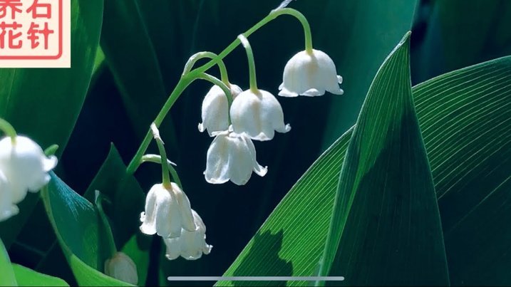 花呗提现：安全吗？