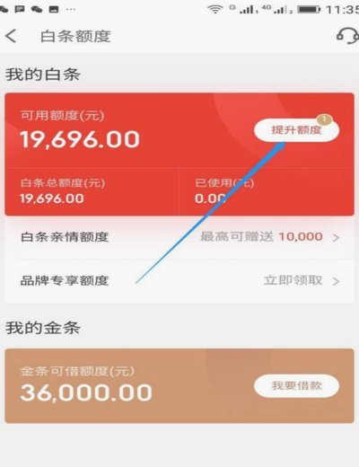 白条额度怎么提高？实用技巧分享