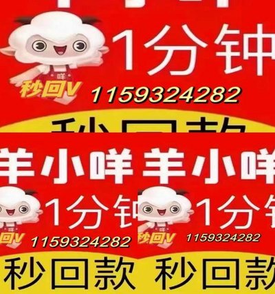 羊小咩额度多久更新