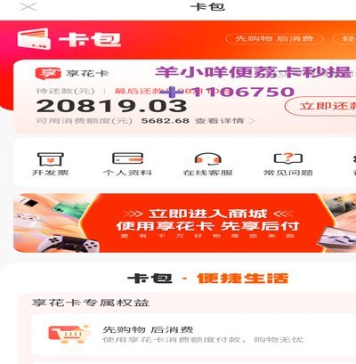羊小咩额度多久更新