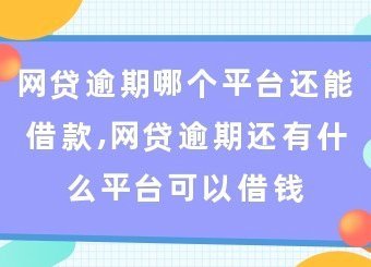 网贷借款需谨慎：风险与避坑指南
