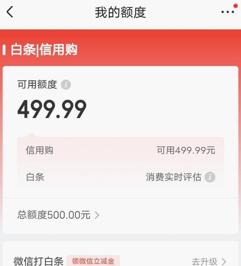 白条平台电话人工服务解难题