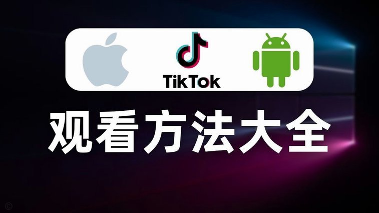 小额白条能否用于商家收款？