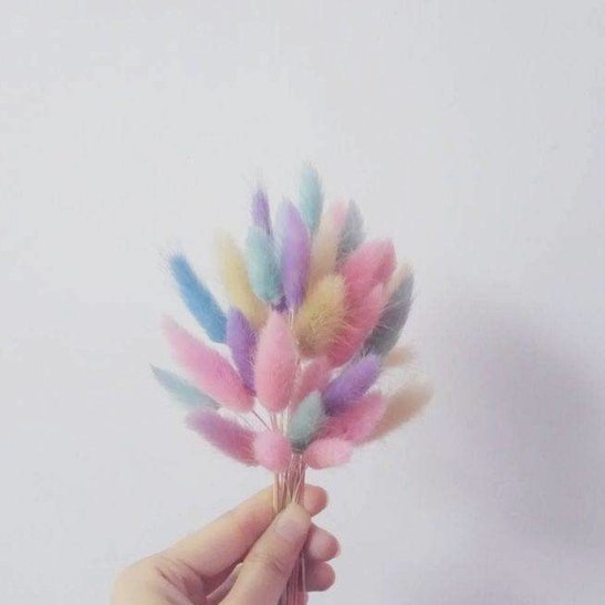 羊小咩享花卡进阶指南：掌握资源转换的套利逻辑